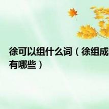 徐可以组什么词(徐组成的词语有哪些)