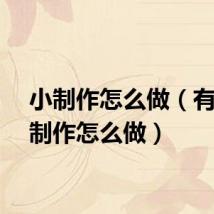 小制作怎么做（有关小制作怎么做）