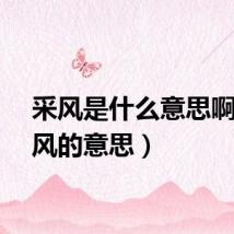 采风是什么意思啊（采风的意思）