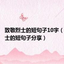 致敬烈士的短句子10字（致敬烈士的短句子分享）