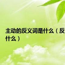 主动的反义词是什么(反义词是什么)
