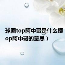 球圈top阿中哥是什么梗（球圈top阿中哥的意思）