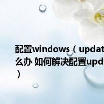 配置windows(update失败怎么办 如何解决配置update失败)