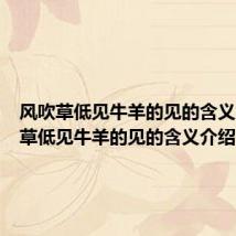 风吹草低见牛羊的见的含义(风吹草低见牛羊的见的含义介绍)