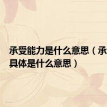 承受能力是什么意思(承受能力具体是什么意思)