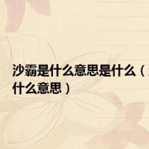 沙霸是什么意思是什么(沙霸是什么意思)