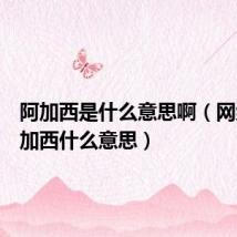 阿加西是什么意思啊（网络语阿加西什么意思）