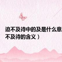 迫不及待中的及是什么意思(迫不及待的含义)