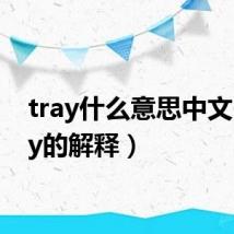 tray什么意思中文(tray的解释)