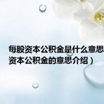 每股资本公积金是什么意思(每股资本公积金的意思介绍)