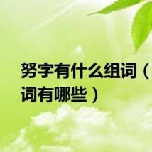 努字有什么组词（努组词有哪些）