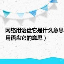 网络用语盘它是什么意思（网络用语盘它的意思）