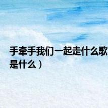手牵手我们一起走什么歌（歌词是什么）