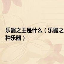 乐器之王是什么(乐器之王是哪种乐器)