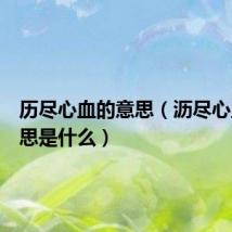 历尽心血的意思(沥尽心血的意思是什么)