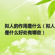 拟人的作用是什么(拟人的作用是什么好处有哪些)