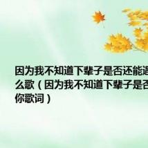 因为我不知道下辈子是否还能遇见你是什么歌（因为我不知道下辈子是否还能遇见你歌词）