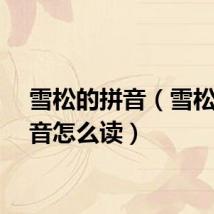 雪松的拼音（雪松的拼音怎么读）