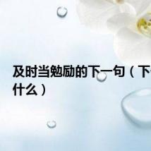 及时当勉励的下一句（下一句是什么）