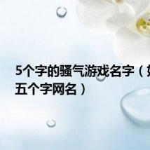 5个字的骚气游戏名字(好听的五个字网名)