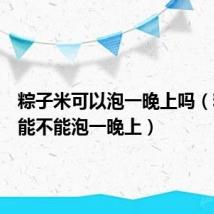 粽子米可以泡一晚上吗(粽子米能不能泡一晚上)