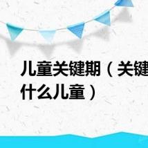 儿童关键期（关键期是什么儿童）