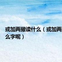 或加两撇读什么(或加两撇是什么字呢)