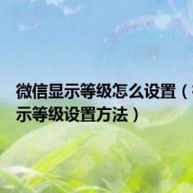 微信显示等级怎么设置（微信显示等级设置方法）