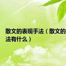 散文的表现手法(散文的表现手法有什么)