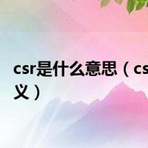 csr是什么意思(csr的含义)