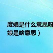 度娘是什么意思呀（度娘是啥意思）