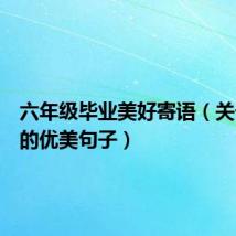 六年级毕业美好寄语(关于毕业的优美句子)