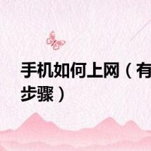 手机如何上网（有什么步骤）