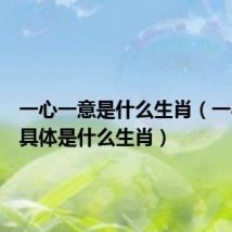 一心一意是什么生肖（一心一意具体是什么生肖）