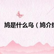 鸠是什么鸟（鸠介绍）