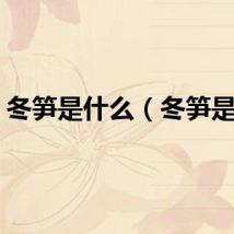 冬笋是什么（冬笋是啥）