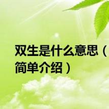 双生是什么意思（双生简单介绍）