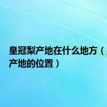 皇冠梨产地在什么地方(皇冠梨产地的位置)