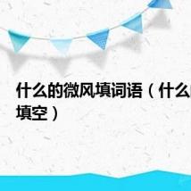 什么的微风填词语(什么的微风填空)