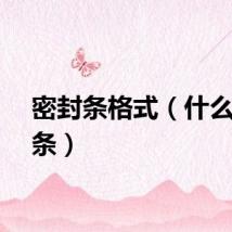密封条格式（什么是封条）