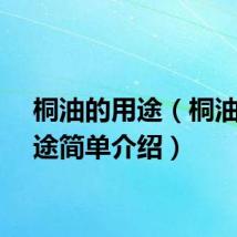 桐油的用途（桐油的用途简单介绍）