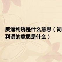威逼利诱是什么意思(词语威逼利诱的意思是什么)