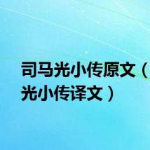 司马光小传原文（司马光小传译文）