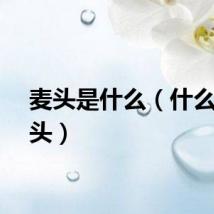 麦头是什么（什么是唛头）