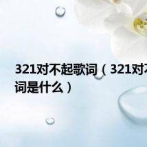 321对不起歌词（321对不起歌词是什么）