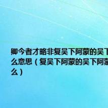 卿今者才略非复吴下阿蒙的吴下阿蒙是什么意思(复吴下阿蒙的吴下阿蒙意思是什么)