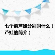 七个葫芦娃分别叫什么(七个葫芦娃的简介)