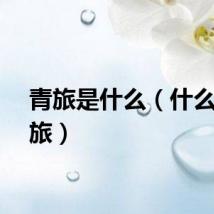 青旅是什么（什么是青旅）