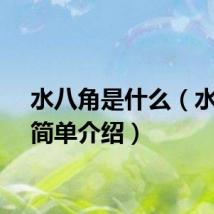 水八角是什么（水八角简单介绍）