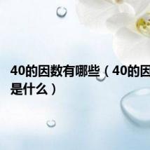 40的因数有哪些（40的因数分别是什么）
